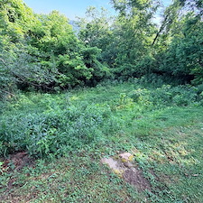 Backyard-clean-up-and-overgrowth-removal-in-North-Versailles-Pa 5